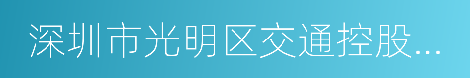 深圳市光明区交通控股有限公司的同义词