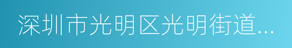 深圳市光明区光明街道办事处的同义词
