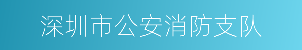 深圳市公安消防支队的同义词