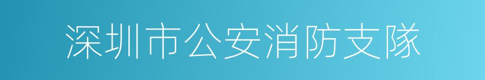 深圳市公安消防支隊的同義詞