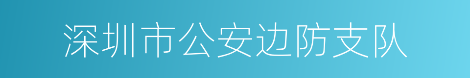 深圳市公安边防支队的同义词