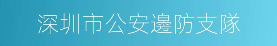 深圳市公安邊防支隊的同義詞