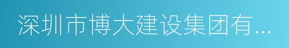 深圳市博大建设集团有限公司的同义词