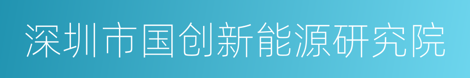 深圳市国创新能源研究院的同义词