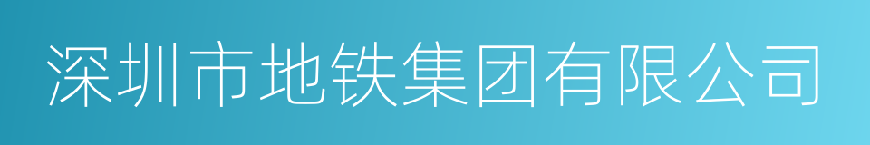 深圳市地铁集团有限公司的同义词