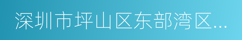 深圳市坪山区东部湾区实验学校的同义词