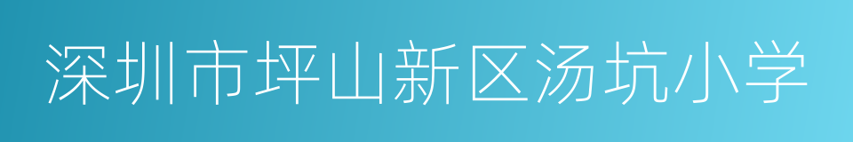 深圳市坪山新区汤坑小学的同义词