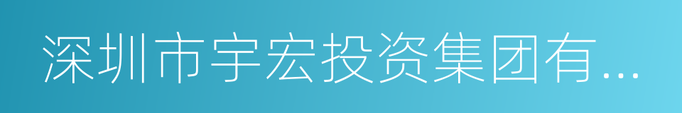 深圳市宇宏投资集团有限公司的同义词