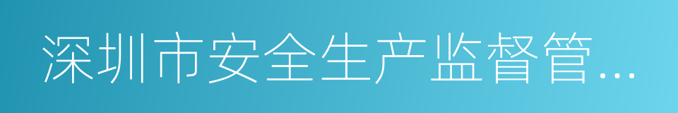 深圳市安全生产监督管理局的同义词