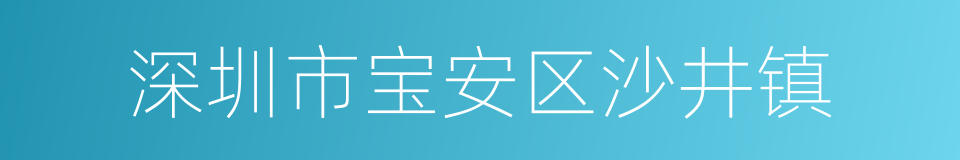 深圳市宝安区沙井镇的同义词