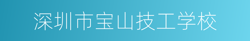 深圳市宝山技工学校的意思