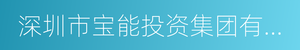 深圳市宝能投资集团有限公司的同义词