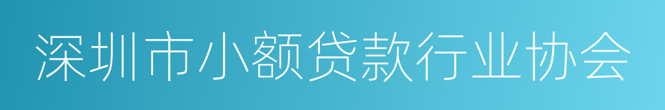 深圳市小额贷款行业协会的同义词