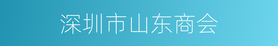 深圳市山东商会的同义词