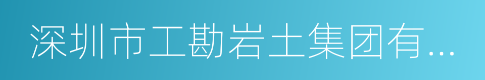 深圳市工勘岩土集团有限公司的同义词