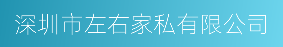 深圳市左右家私有限公司的同义词