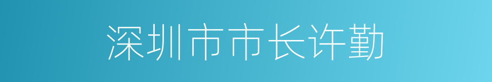 深圳市市长许勤的同义词