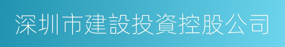 深圳市建設投資控股公司的同義詞