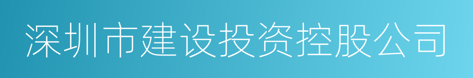 深圳市建设投资控股公司的同义词