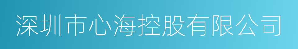 深圳市心海控股有限公司的同义词