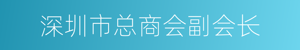 深圳市总商会副会长的同义词