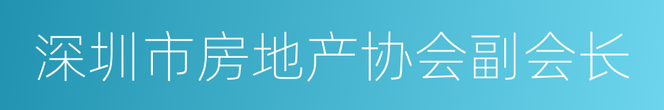 深圳市房地产协会副会长的同义词