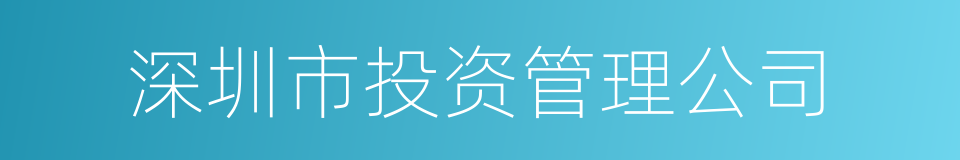 深圳市投资管理公司的同义词