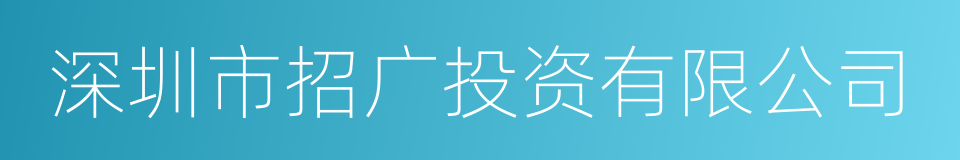 深圳市招广投资有限公司的同义词