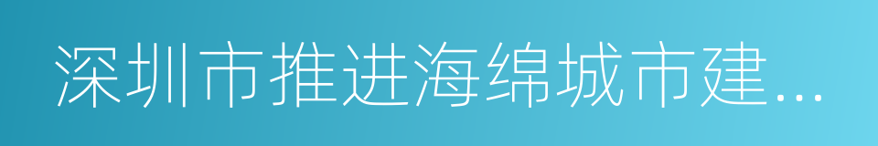 深圳市推进海绵城市建设工作实施方案的同义词