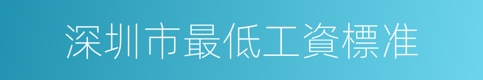 深圳市最低工資標准的同義詞