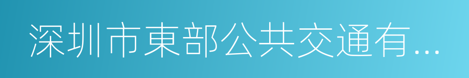 深圳市東部公共交通有限公司的同義詞