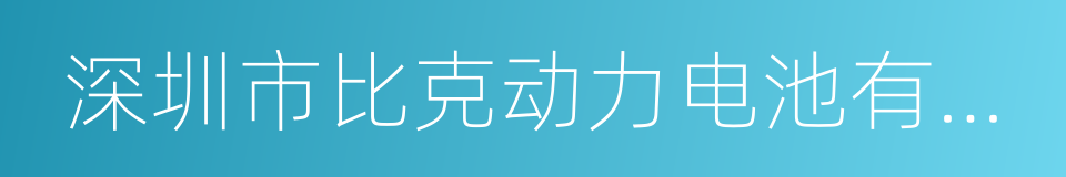 深圳市比克动力电池有限公司的同义词