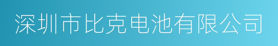 深圳市比克电池有限公司的同义词