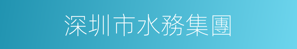 深圳市水務集團的同義詞