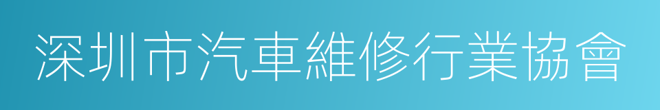 深圳市汽車維修行業協會的同義詞