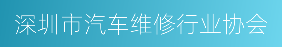 深圳市汽车维修行业协会的同义词