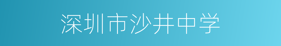 深圳市沙井中学的同义词