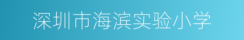 深圳市海滨实验小学的同义词