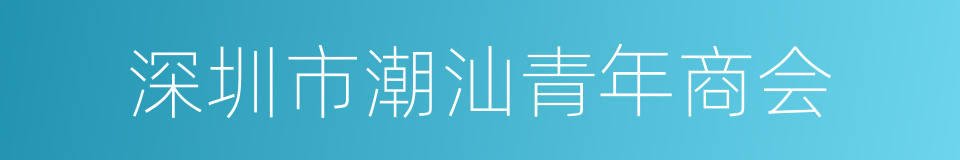 深圳市潮汕青年商会的同义词