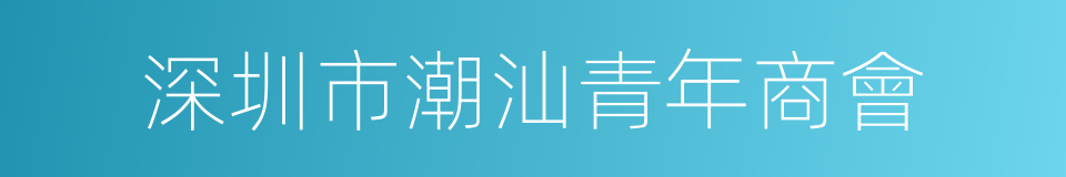 深圳市潮汕青年商會的同義詞