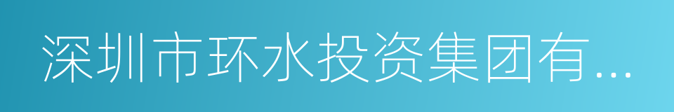 深圳市环水投资集团有限公司的同义词