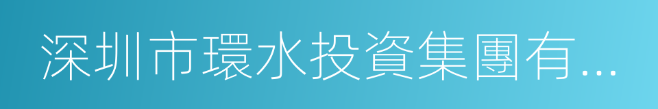 深圳市環水投資集團有限公司的同義詞