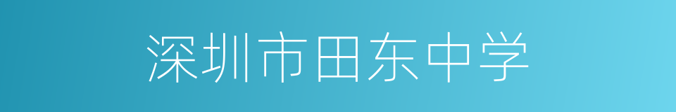 深圳市田东中学的同义词