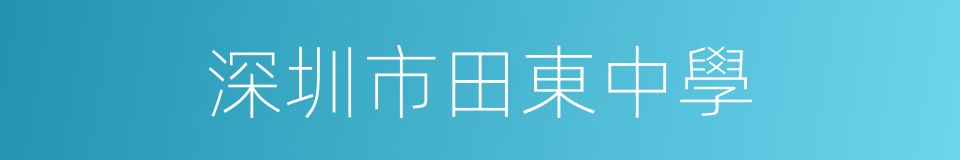 深圳市田東中學的同義詞