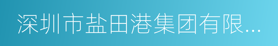 深圳市盐田港集团有限公司的意思