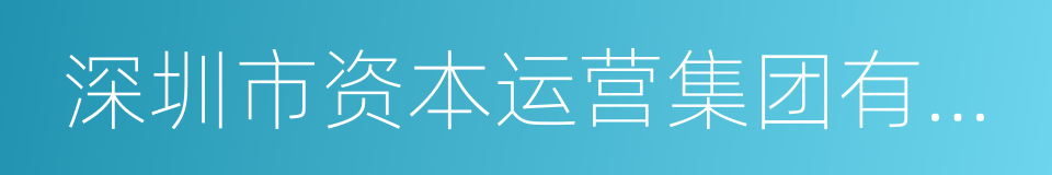 深圳市资本运营集团有限公司的同义词