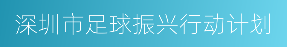 深圳市足球振兴行动计划的同义词