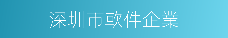 深圳市軟件企業的同義詞