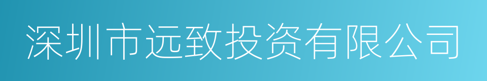 深圳市远致投资有限公司的同义词