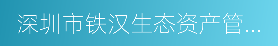 深圳市铁汉生态资产管理有限公司的同义词